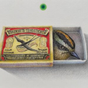 Singulariteit - Vuurgoudhaan in een lucifersdoosje