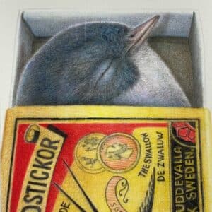 singularity-(another) small funeral