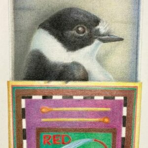 singularity-birdie in a matchbox