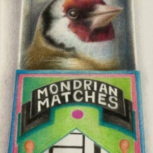 singularity-goldfinch in a matchbox