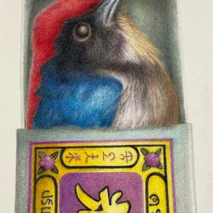 singularity-Thai birdie in a matchbox