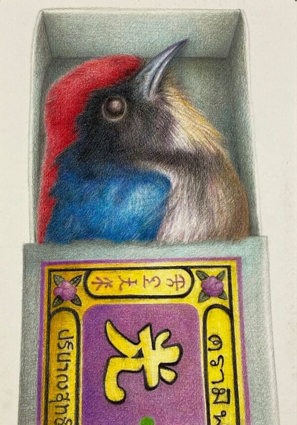 singularity-Thai birdie in a matchbox