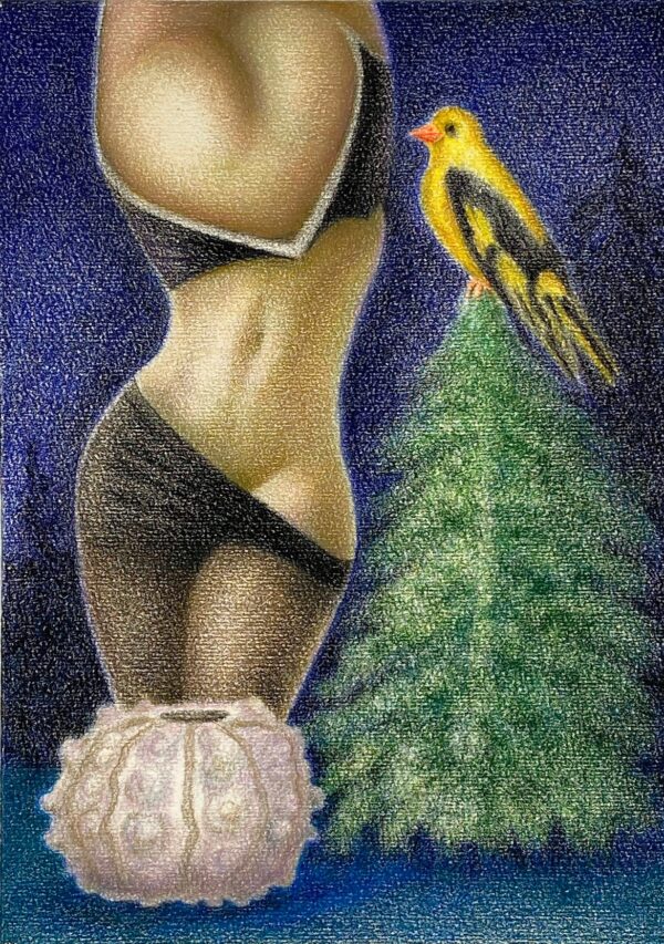 the song of the golden oriole